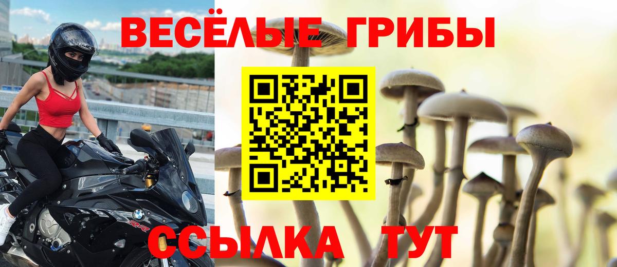 Галлюциногенные грибы мицелий Южноуральск