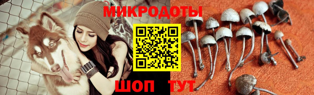 Псилоцибиновые грибы ЛСД  Псилоцибиновые грибы ЛСД  Вход с VPN  Южноуральск 